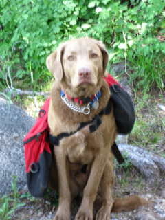 Nice couple I met in Underwood Valley, The Dog
